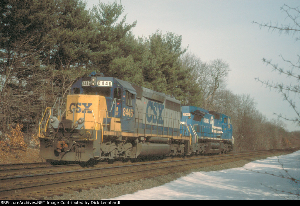 CSX 8446